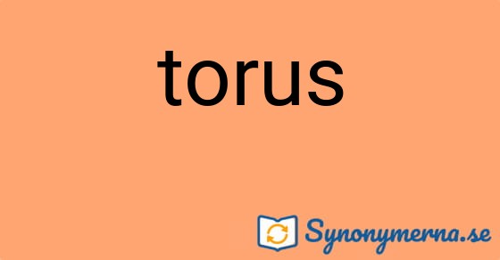 Bild som illustrerar ordet torus och dess synonymer.