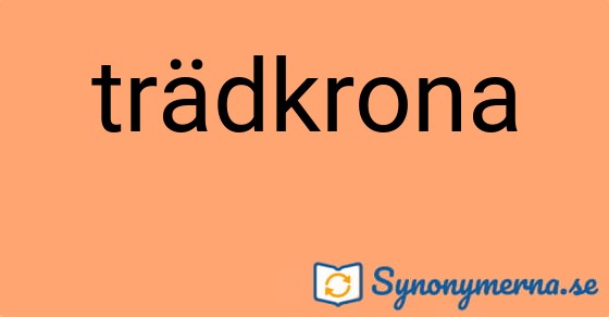 Bild som illustrerar ordet trädkrona och dess synonymer.