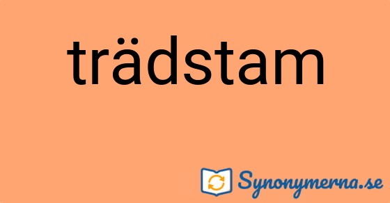Bild som illustrerar ordet trädstam och dess synonymer.