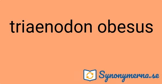 Bild som illustrerar uttrycket triaenodon obesus och dess synonymer.