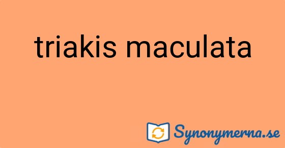 Bild som illustrerar uttrycket triakis maculata och dess synonymer.