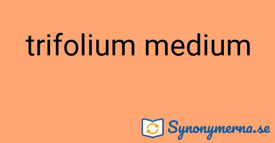 Bild som illustrerar uttrycket trifolium medium och dess synonymer.
