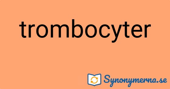 Bild som illustrerar ordet trombocyter och dess synonymer.