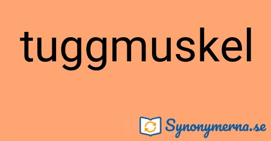 Bild som illustrerar ordet tuggmuskel och dess synonymer.