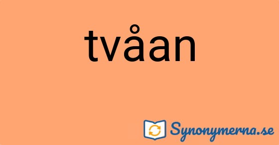 Bild som illustrerar ordet tvåan och dess synonymer.