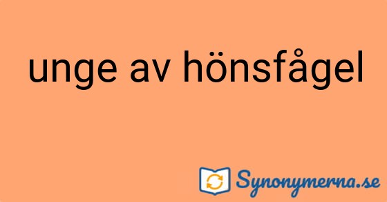 Bild som illustrerar uttrycket unge av hönsfågel och dess synonymer.