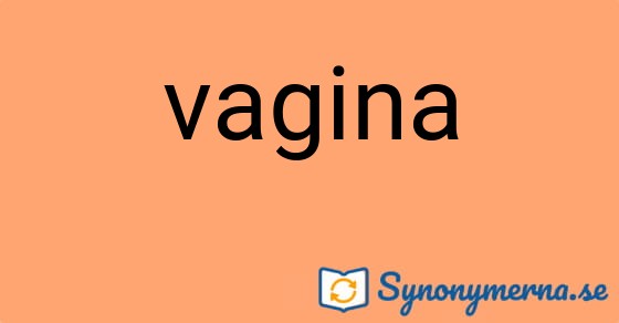 Bild som illustrerar ordet vagina och dess synonymer.