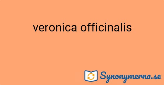 Bild som illustrerar uttrycket veronica officinalis och dess synonymer.