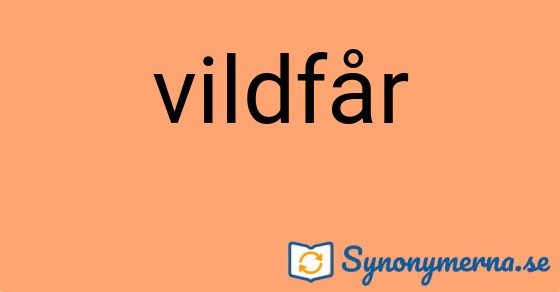 Bild som illustrerar ordet vildfår och dess synonymer.