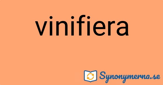 Bild som illustrerar ordet vinifiera och dess synonymer.