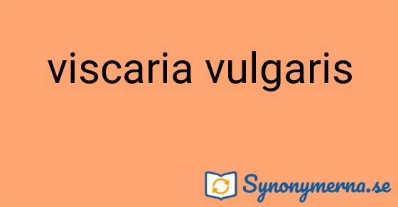 Bild som illustrerar uttrycket viscaria vulgaris och dess synonymer.