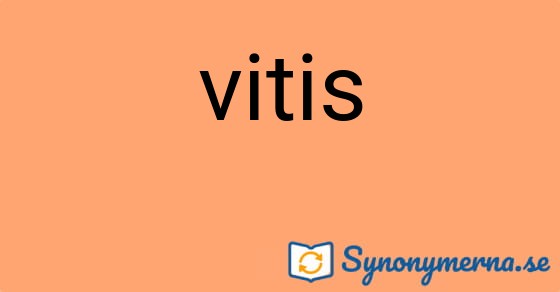 Bild som illustrerar ordet vitis och dess synonymer.