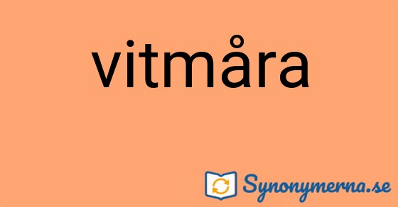 Bild som illustrerar ordet vitmåra och dess synonymer.