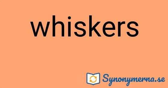 Bild som illustrerar ordet whiskers och dess synonymer.